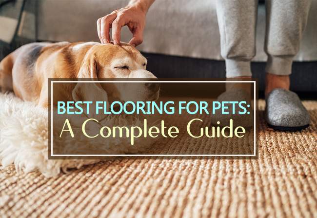 Best Flooring For Pets A Complete Guide 