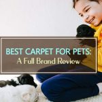 Best Carpet For Pets 2026: A Full Brand Guide best carpet for pets